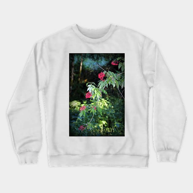 red elderberry Crewneck Sweatshirt by DlmtleArt